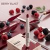 BERRYBLAST 14 LIPSTICK MATTE CAT LIP CRAYON