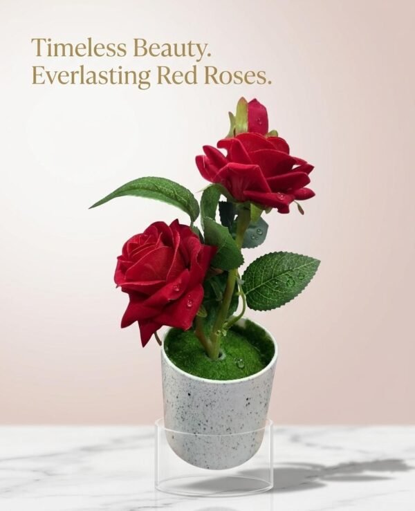 WhatsApp Image 2026-06-13 at 1.57.07 AM Forever Blossom Luxury Red Rose POT