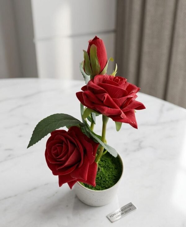 WhatsApp Image 2026-06-13 at 1.57.08 AM (1) Forever Blossom Luxury Red Rose POT