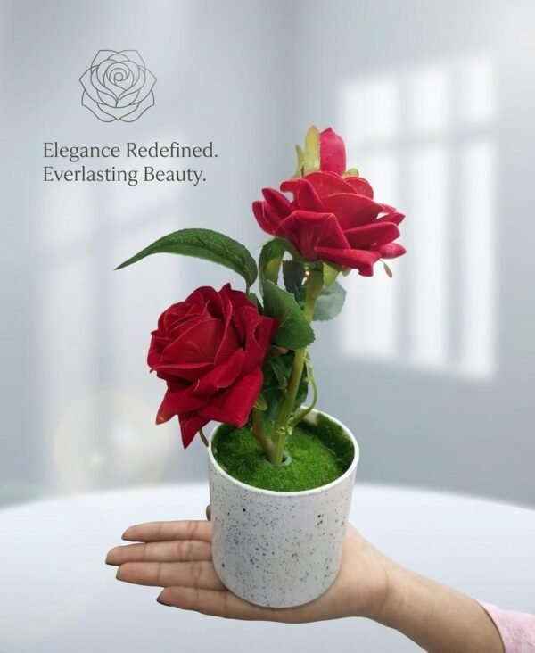 WhatsApp Image 2026-06-13 at 1.57.08 AM Forever Blossom Luxury Red Rose POT