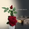 Eternal Rose flower pot