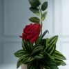 Eternal Rose flower pot