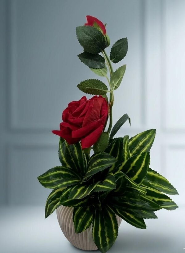 Eternal Rose flower pot