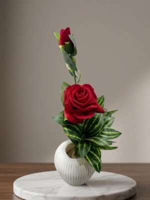 Eternal Rose flower pot