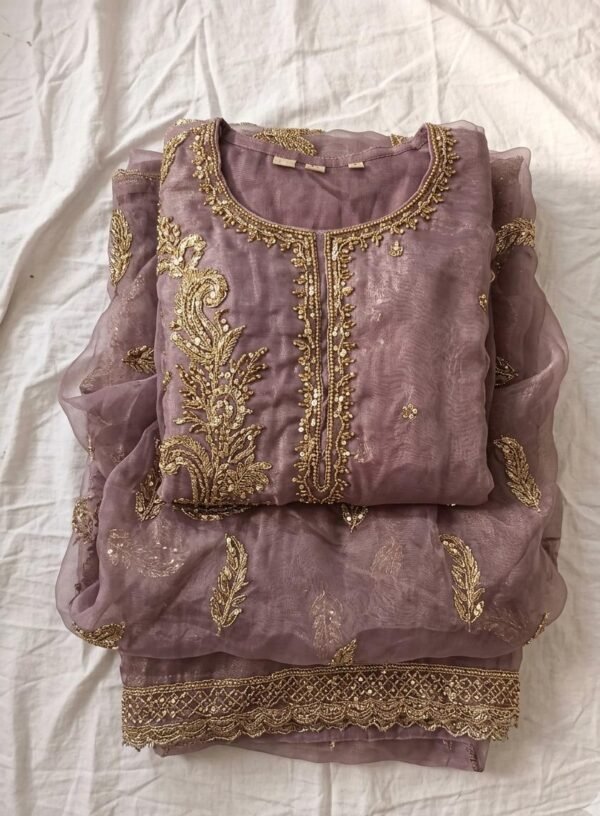 Embroidered & Organza Salwar Suit Set