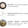 Mamaearth Rice Water Strengthening Shampoo